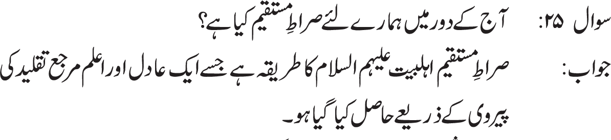 Wilayat e faqee bhi aik fiqhi  masla hai aur is me bhi muqalid  apne mujtahid  ki janib  he ruju  karay ga. Ayatullah Syed Ali Sistani d.b.  k nazdeed aik jamia sharait mujtahid in tamaam umoor me wilayat rakhta hai jin per insaano ka ijtemaaye nizaam qaim hai. (Ref : Mujthid se poushey gye sawalat part # 2, ques # 7 pg # 22)